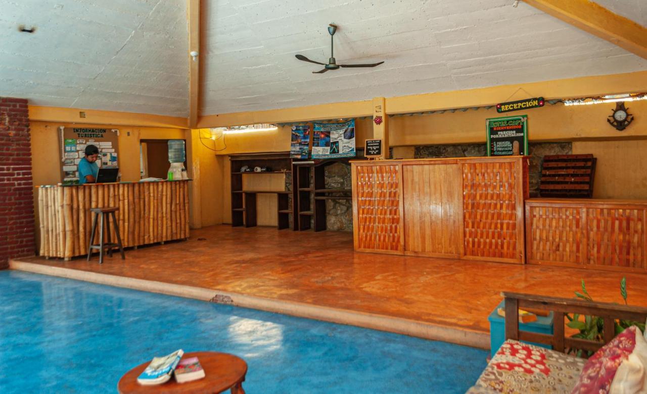 Hotel Capy Puerto Ángel Zewnętrze zdjęcie